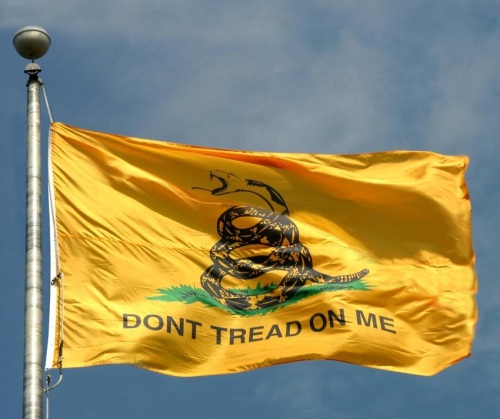 Le Gadsden Flag, un drapeau remontant à la Guerre d'Indépendance : 